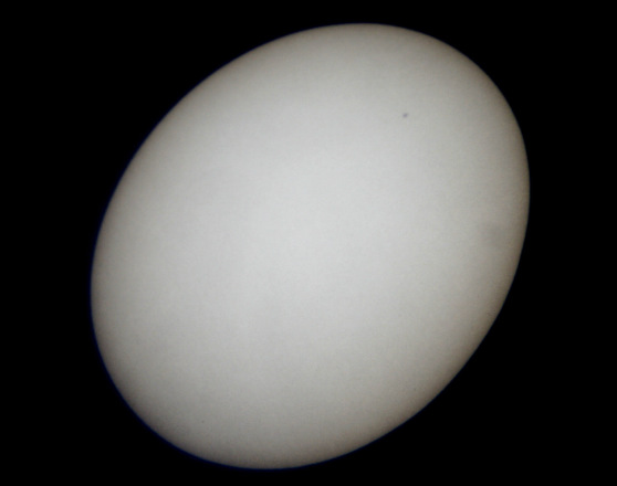 Scaled image _mg_0356.jpg 